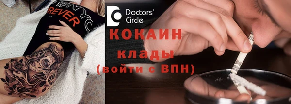 дживик Верея