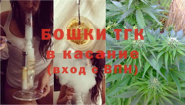 дживик Верея