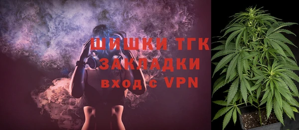 дживик Верея