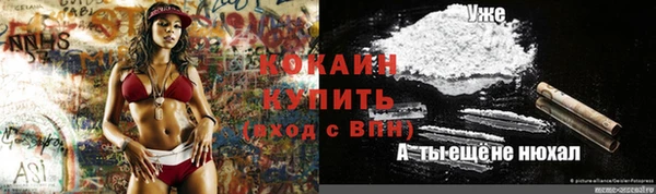 дживик Верея