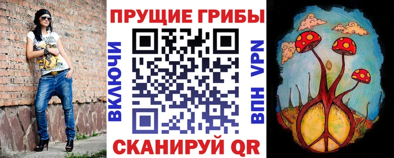 Псилоцибиновые грибы Magic Shrooms  где купить наркоту  Новоржев 